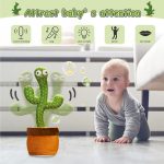 کاکتوس رقاص اورجینال