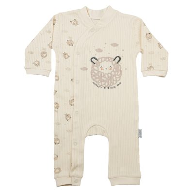 sheep-8